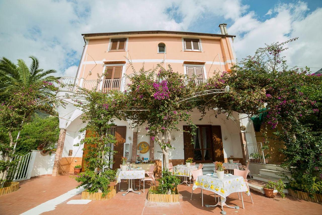 Couette-café Bouganville